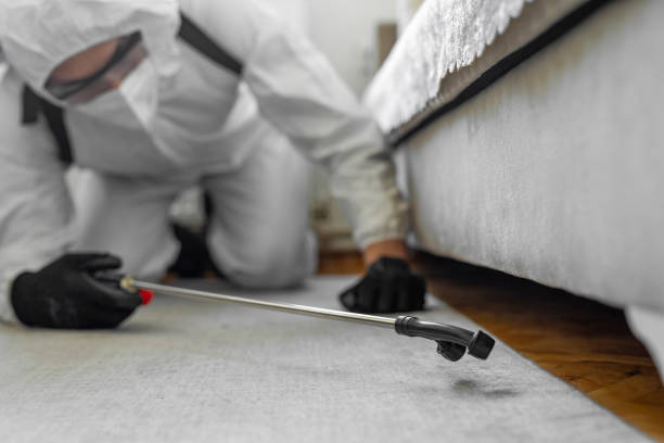 Professional Cockroach Control technician working in Fennville, MI