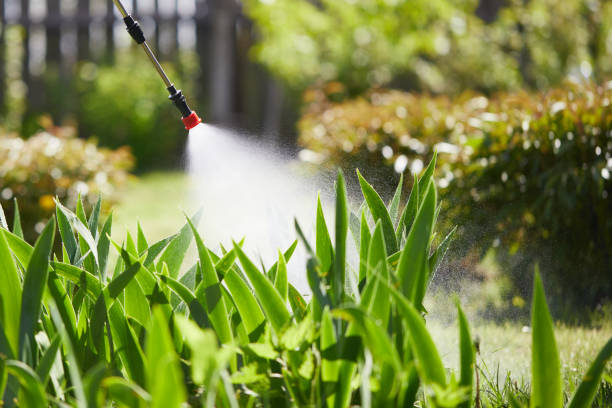 24/7 Emergency Cockroach Control experts in Fennville, MI