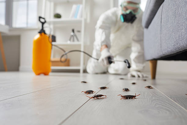 Trusted Cockroach Control service in Fennville, MI - Nex Pest Control