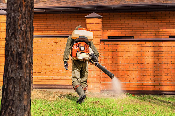 Trusted Mosquito Control service in Fennville, MI - Nex Pest Control